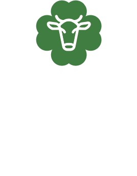 Site feito pela Nexora Pixel